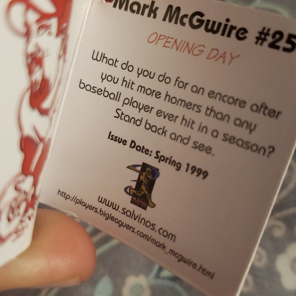 Mark McGwire Bear - Picture 3 of 3